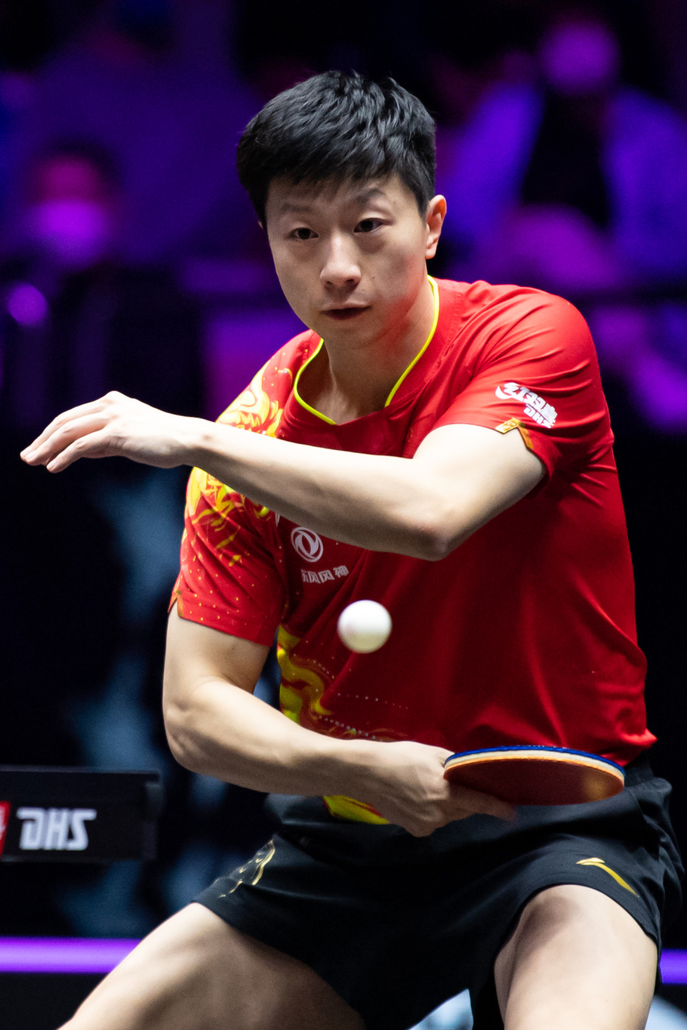 广州男篮近 广州男篮近