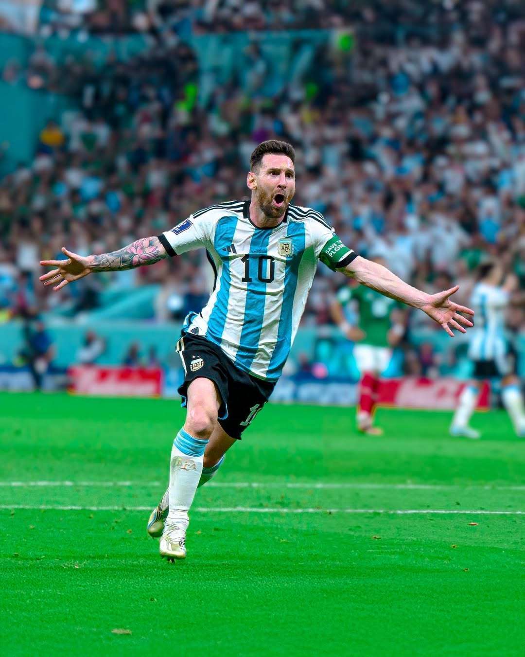 经验丰富的 经验丰富的